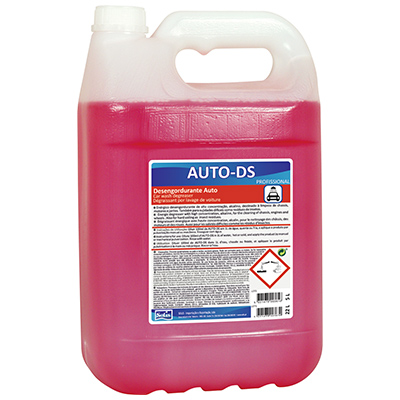 Auto-DS-Dig